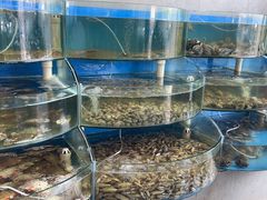 -蓝珊甄选海鲜自助·火锅大排档(近阿那亚店)