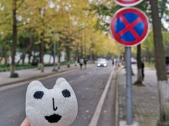 -四川大学(望江校区)