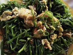 -尕胡才炕锅烤羊肉馆(八一路店)