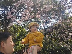 -西安青龙寺遗址景区