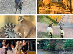 -泉州海丝野生动物世界