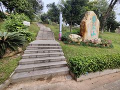-广东中医药博物馆