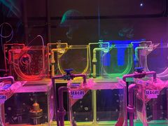 -沈阳海洋探索中心