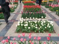 -石家庄市植物园
