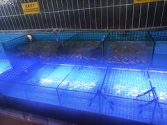 -海韵之星邮轮水会(明发商业广场店)