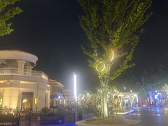 -吴越荣记苏州菜·松鼠桂鱼(月光码头店)