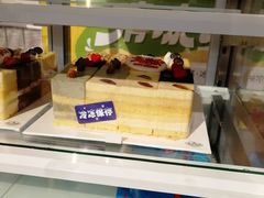 -维尔纳斯·生日蛋糕动物奶油冰淇淋蛋糕(人大店)