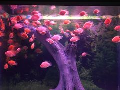 -常州海昌海洋探索馆