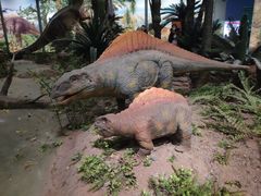 -湖南省地质博物馆