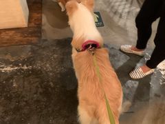 -the rug 飞毯 (朝阳公园店)