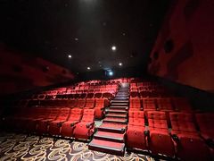 -龙之星国际影城(太平店)