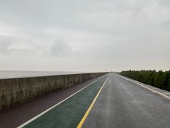 -碧海金沙