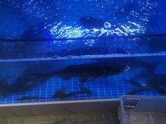 -大丰收·炭火鸡(三墩店)