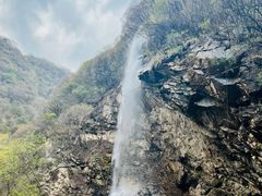 -少华山国家森林公园