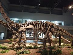 -自贡恐龙博物馆