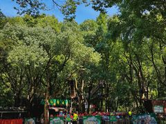 -WeLope紫金山探险公园