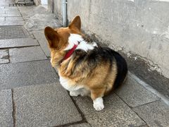 -山塘街
