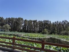 -沈阳植物园