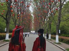 -洛阳市隋唐城遗址植物园