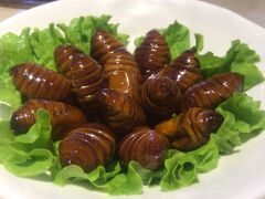 -老佛爷炭火蛙锅直营(清滨路总店)