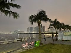 -观澳平台