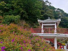 -广州市石门国家森林公园