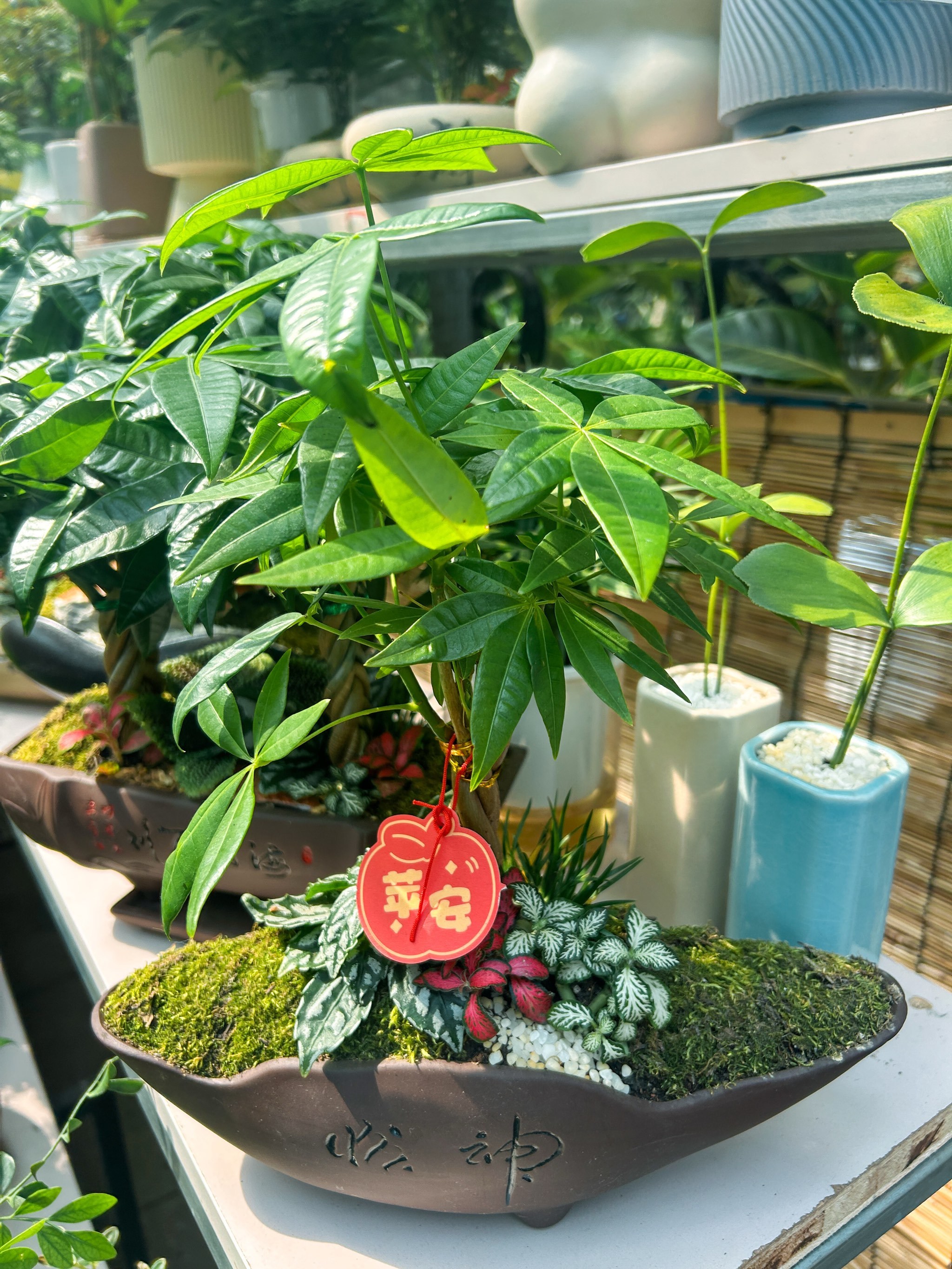 哈尔滨100个免费遛娃好去处