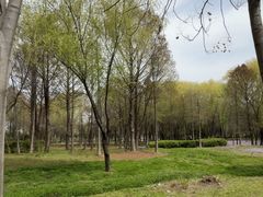 -长广溪湿地公园