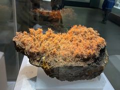 -湖南省地质博物馆