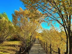 -北极村旅游风景区