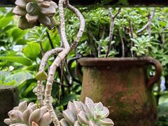 -凤来栖·净庭院·火锅(欧尚店)