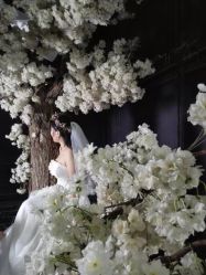 -完美新娘婚纱摄影