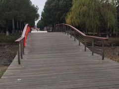 -中央公园(苏州工业园区)