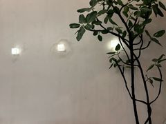 -小团圆糖水铺(襄阳南路店)