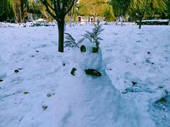 -元大都城垣遗址公园