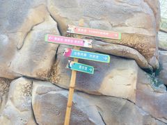 -杭州开元森泊度假乐园