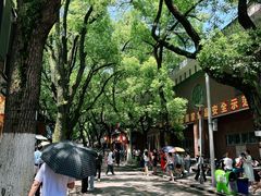 -茶颜悦色(岳麓山顶店)