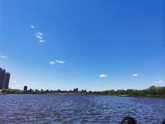 -丁香湖公园