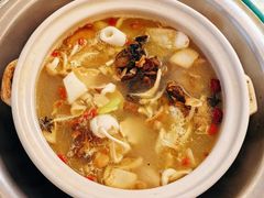 -山菌美食苑(振兴路店)