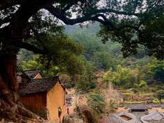 -杨家堂村
