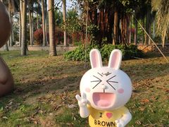 -白沙门生态公园