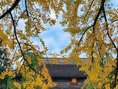 -西园戒幢律寺