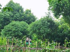 -洪湖家庭农场·团建·露营·会议