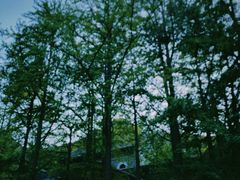 -阳台山自然风景区