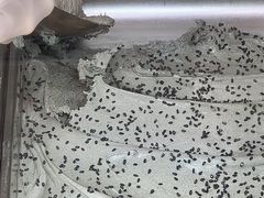 -VENCHI 闻绮(北京国贸商城店)