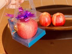 -深圳湾木棉花酒店