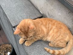 -UNI UNI(环亚凯瑟琳店)