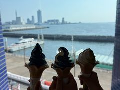 -大阪海游馆
