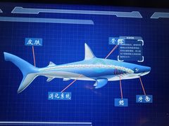-海合安成都极地海洋公园