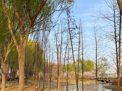 -北龙湖湿地公园